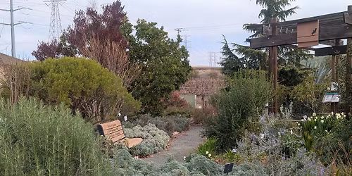 MGs on Site at Livermore Demonstation Garden