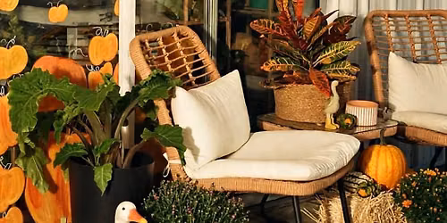 The Backyard Market At The Shoppe