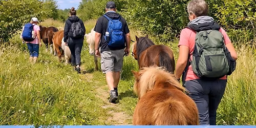 Sommer i n\u00e6rv\u00e6r