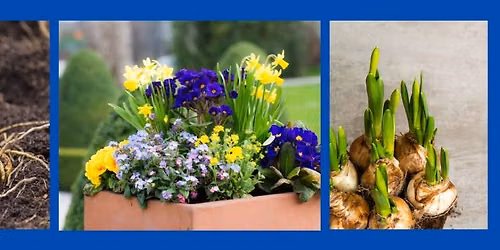 Living Flower Arrangements and Layers of Bulbs