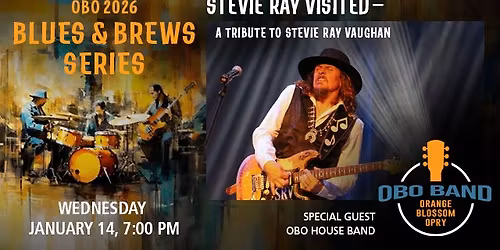 Stevie Ray Visited- A Tribute to Stevie Ray Vaughan 