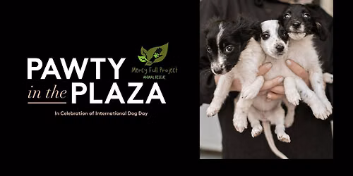Pawty in the Plaza