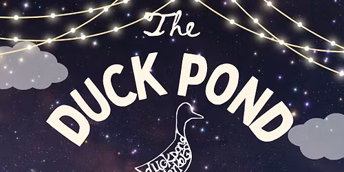 Duck Pond Winter Night Market