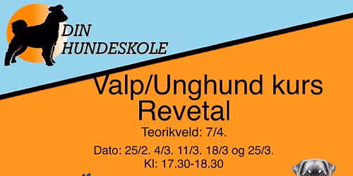 Valp\/unghundkurs Revetal onsdager