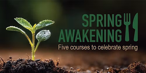 SPRING AWAKENING. Five courses to celebrate the flavors of Spring