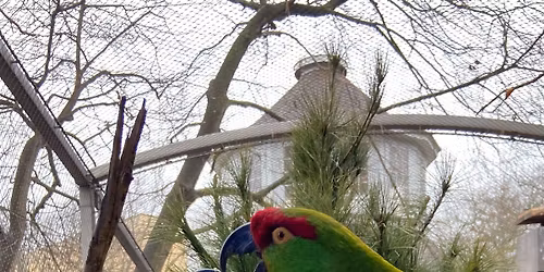 Endangered Species Day