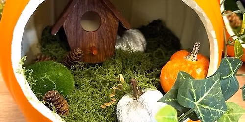 Pumpkin Fairy Garden Workshop!