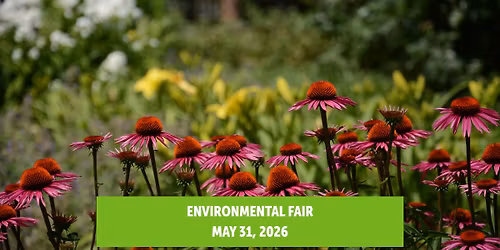 Environmental Fair