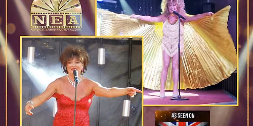 A Night With Shirley Bassey and Tina Turner