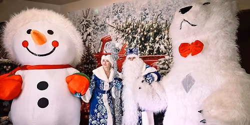 \u041d\u043e\u0432\u043e\u0433\u043e\u0434\u043d\u044f\u044f \u0451\u043b\u043a\u0430 \u0432 \u0414\u0430\u043b\u043b\u0430\u0441\u0435!