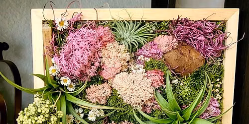 07\/30\/2026 Spring into Airplants at Denton CBC - 7 p.m.