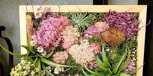 06\/25\/2026 Spring into Airplants at Denton CBC - 7 p.m.