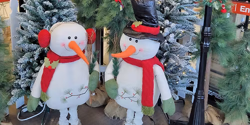 Annual Christmas Wishes shopping event