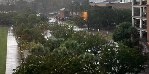 Shrimp City Slim (piano blues) in downtown Charleston, SC (6 pm)