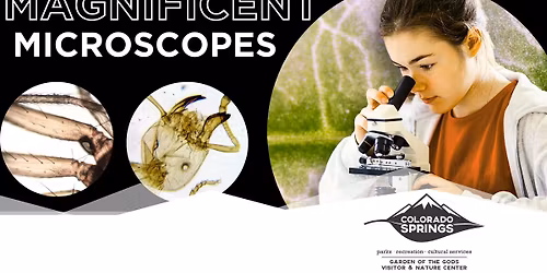 Magnificent Microscopes