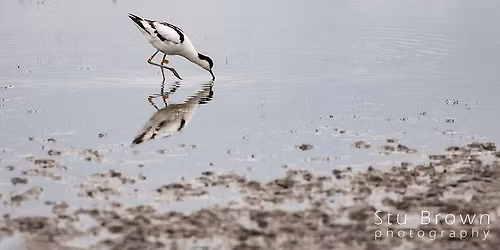 Beginner's Photography Workshop with Stu Brown