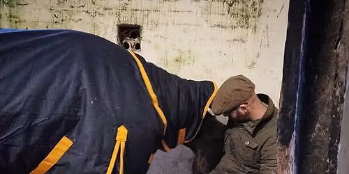 Priority clipping appointments for January