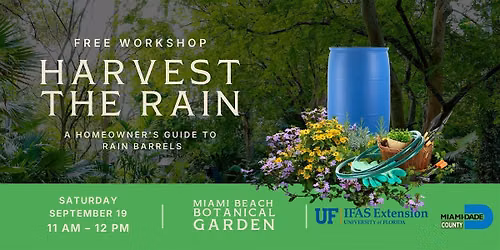 Harvest the Rain: A Homeowner's Guide to Rain Barrels