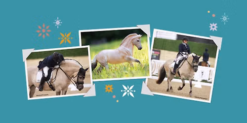 BreyerFest 2026: Midsummer Fair