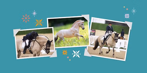 BreyerFest 2026: Midsummer Fair