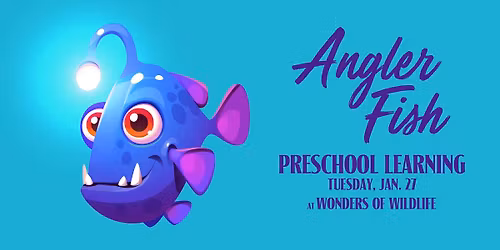 Preschool Learning Classes at Wonders of Wildlife