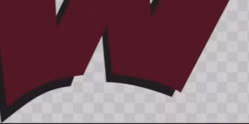 Wylie high alum picnic 