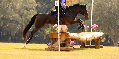 the Educational 3-Day at the Florida Horse Park