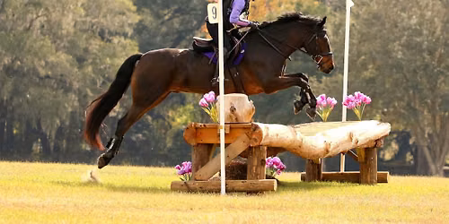 the Educational 3-Day at the Florida Horse Park