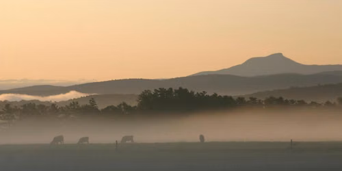 Pasture Songs: A Creative Soundmapping Experience