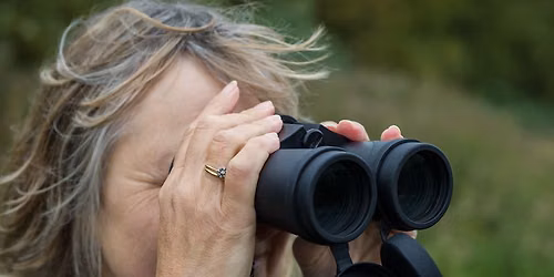 In Focus