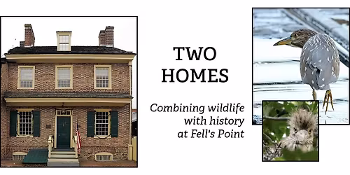 Two Homes: Night Herons & the Colonial Long House