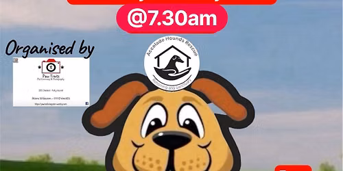 Charity Group Dog Walk