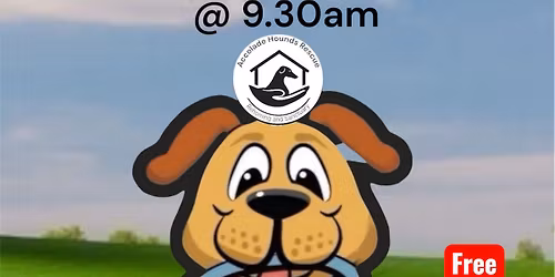 Charity Group Dog Walk