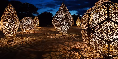 Patterns in Nature: LightForm (Nighttime Viewing)