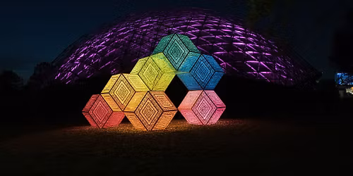 Patterns in Nature: LightForm (Nighttime Viewing)