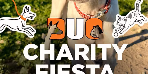DUO CHARITY FIESTA