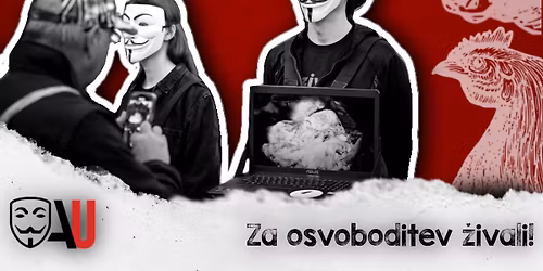 VELIKA KOCKA RESNICE - BIG CUBE OF TRUTH