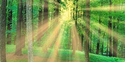 Spiritual, Not Religious Open Spiritual Discussion