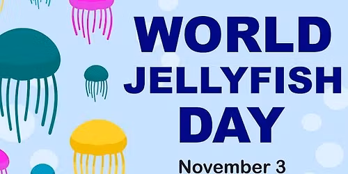 Jellyfishing in downtown troy