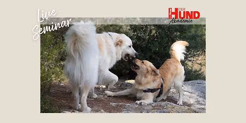 Live Seminar: Hunde fair beobachten lernen, mit Dr. Kurt Kotrschal und Nadia Winter
