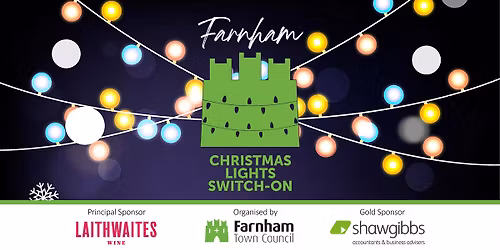 Farnham Christmas Lights Switch-On