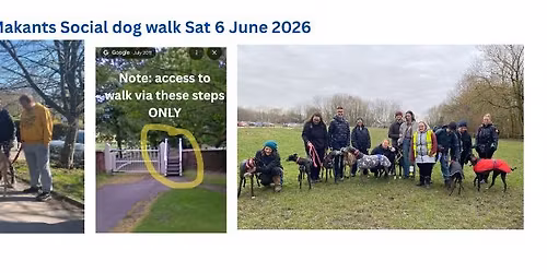 Sighthound Social dog walk in Dunham Park