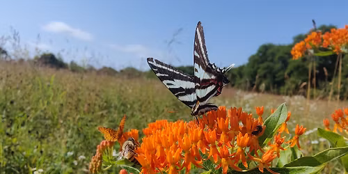 Rapid Run Garden Club Plant Sale