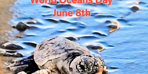 Toby & Friends World Oceans Day 2026