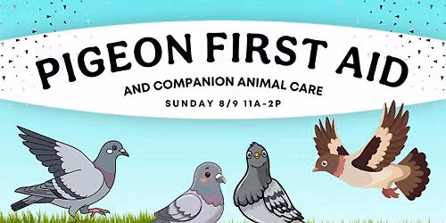 Pigeon First Aid & Companion Animal Care