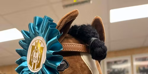 Stav KRK arrangerer Kjeppheststevne \ud83e\udd84