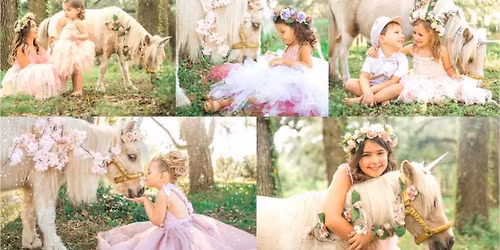 Mini Unicorn Photoshoots | Jacksonville, FL