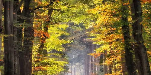 The Other Roads 2025: an Empire LRP event