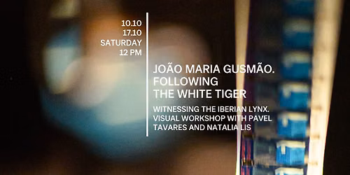 Witnessing the Iberian Lynx | Visual workshop with Pavel Tavares and Natalia Lis