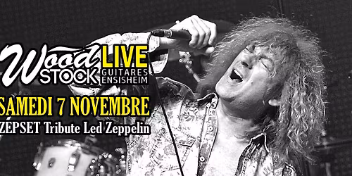 Zepset, a tribute to Led Zeppelin chez Wood Stock Guitares Ensisheim